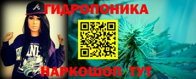 амф Новозыбков