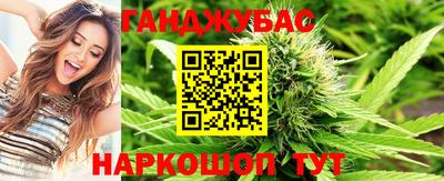индика Новокубанск