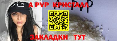 индика Новокубанск