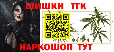 амф Новозыбков