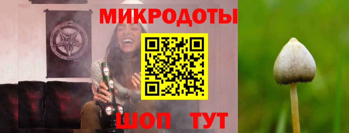 Псилоцибиновые грибы прущие грибы Пыть-Ях